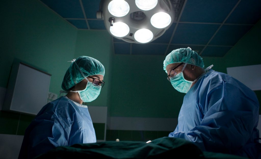 two veterinary surgeons examining patient under light